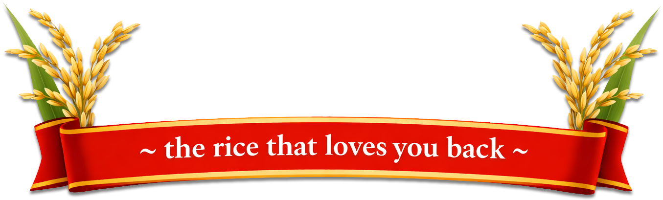 The rice that loves you back
